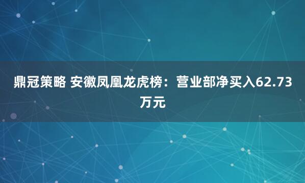 鼎冠策略 安徽凤凰龙虎榜：营业部净买入62.73万元