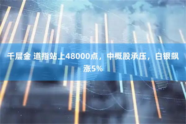 千层金 道指站上48000点,中概股承压,白银飙涨5%