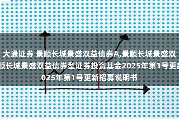 大通证券 景顺长城景盛双益债券A,景顺长城景盛双益债券C: 景顺长城景盛双益债券型证券投资基金2025年第1号更新招募说明书