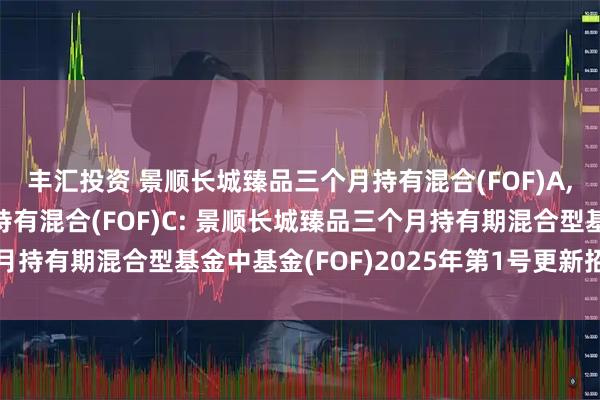 丰汇投资 景顺长城臻品三个月持有混合(FOF)A,景顺长城臻品三个月持有混合(FOF)C: 景顺长城臻品三个月持有期混合型基金中基金(FOF)2025年第1号更新招募说明书
