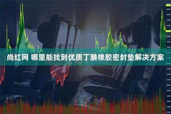 尚红网 哪里能找到优质丁腈橡胶密封垫解决方案