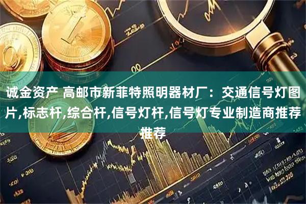 诚金资产 高邮市新菲特照明器材厂：交通信号灯图片,标志杆,综合杆,信号灯杆,信号灯专业制造商推荐